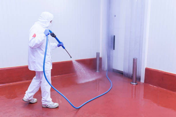 Best Solar Panel Cleaning  in Yalaha, FL