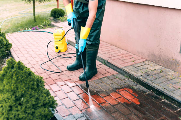 Best Sidewalk and Walkway Cleaning  in Yalaha, FL