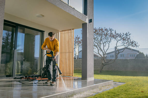 Pre-Holiday Cleaning in Yalaha, FL
