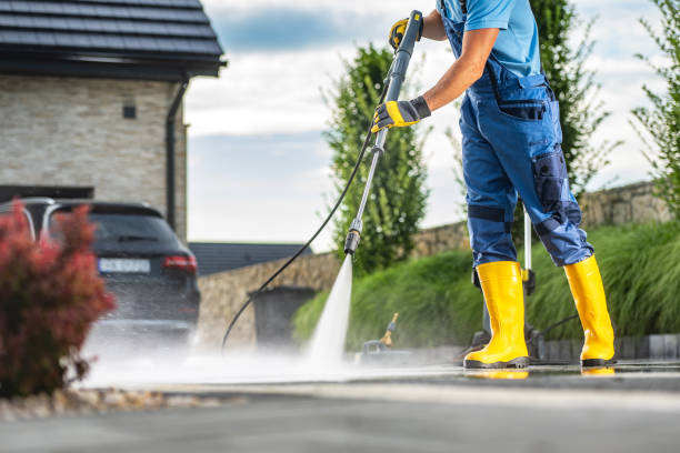 Best Driveway Pressure Washing  in Yalaha, FL